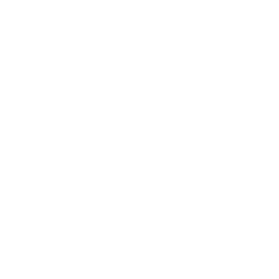 geoSurge logo