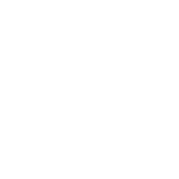 Kin logo