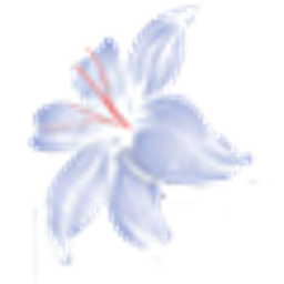 naturis cosmetics pvt ltd logo