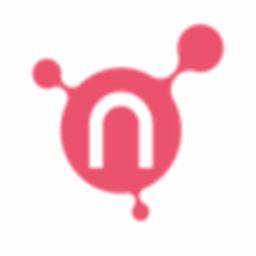 Netris logo