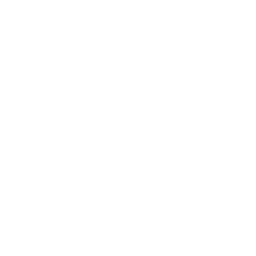 Recursive Superintelligence logo