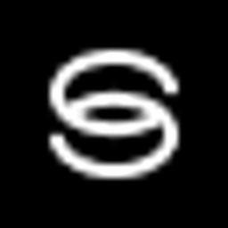 savvy wealth logo